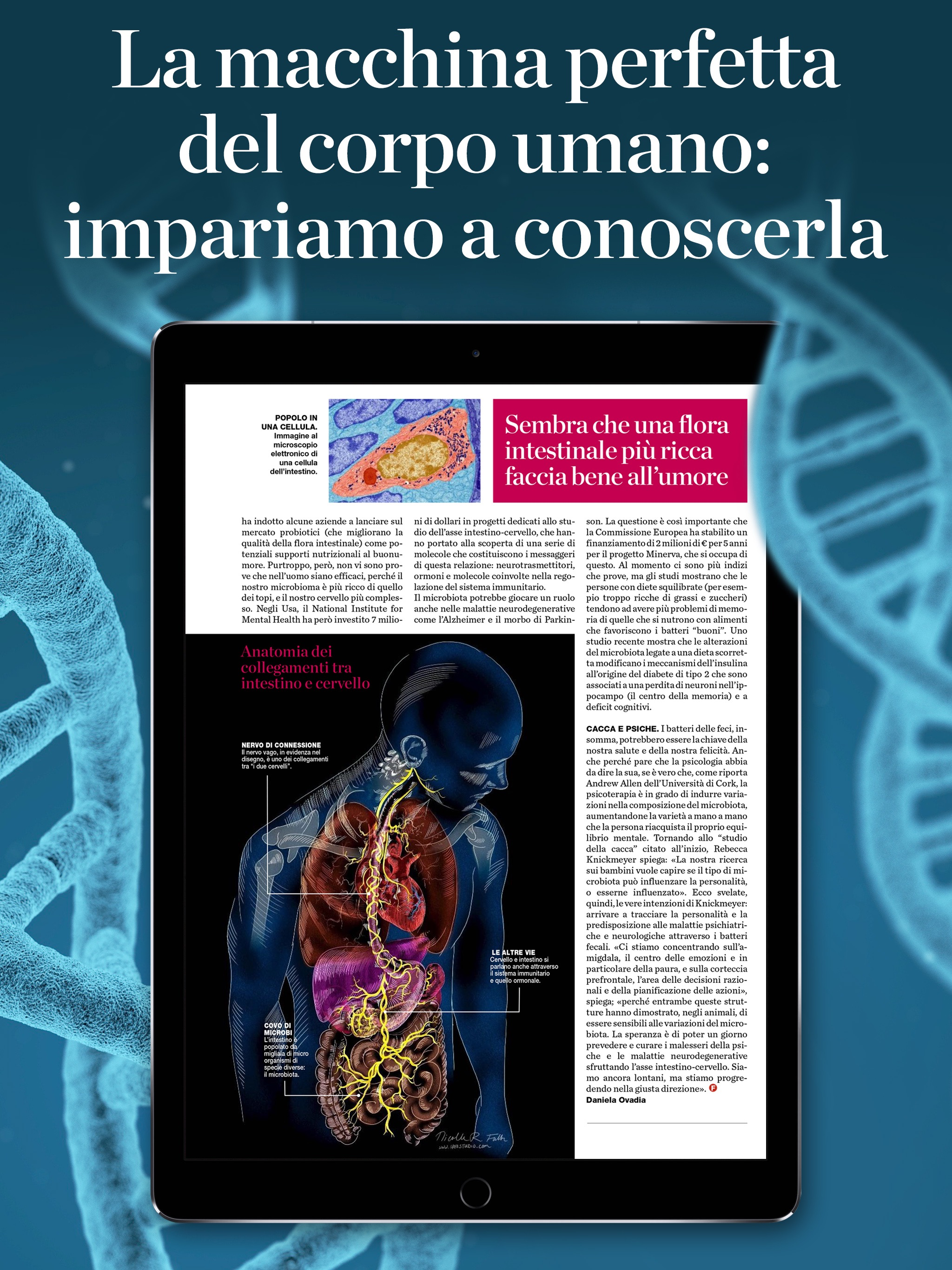 Focus Italia