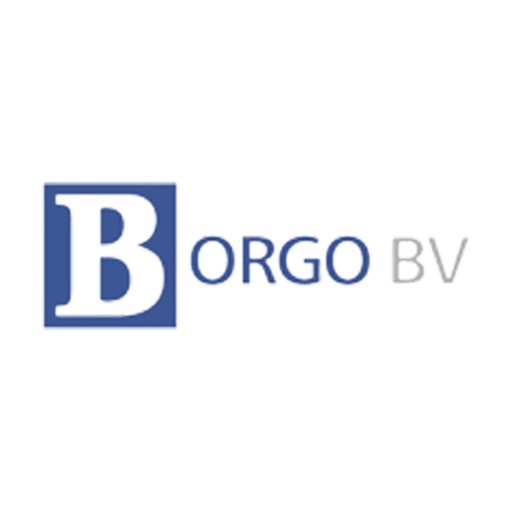 Autobedrijf Borgo B.V.