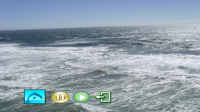 Meditation - Dolphins Whales Screenshot