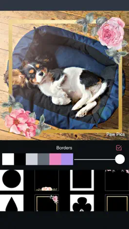 Game screenshot Paw Pics apk