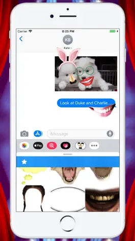 Game screenshot Funny Face Maker - Stickers apk