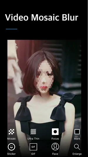 Video Mosaic - Blemish Remover screenshot 1