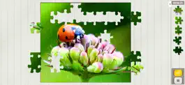Game screenshot Epic Jigsaw Puzzles Unlimited apk