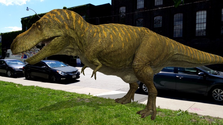 Dino Dan: Dino Cam