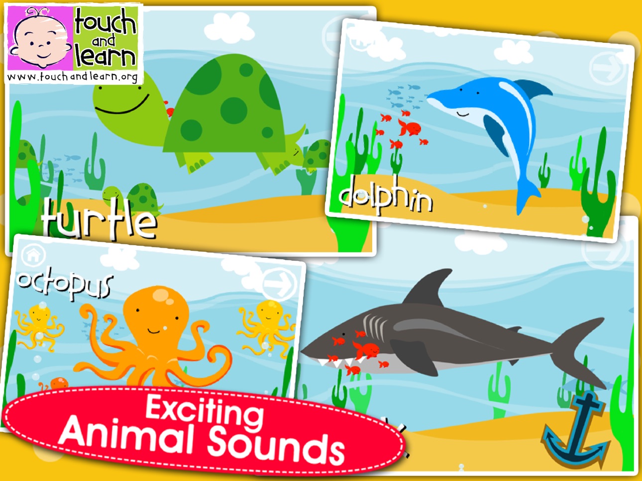 Screenshot 9 of Peekaboo Ocean - Who's Hiding?