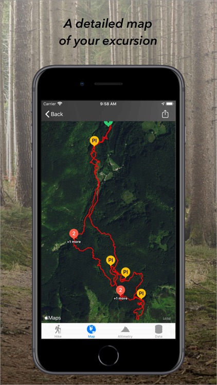 aFunghi screenshot-5