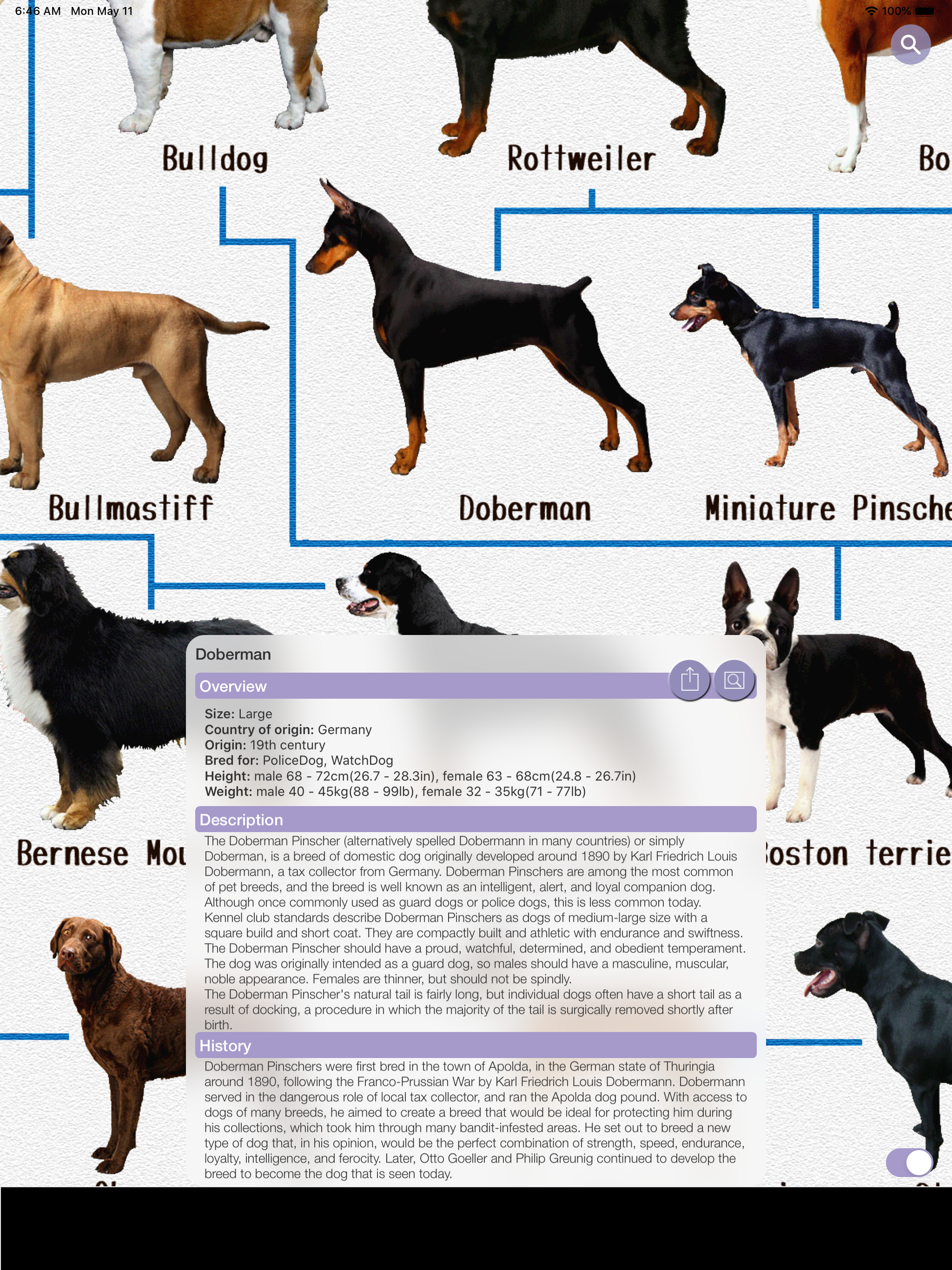 Dog's Family
