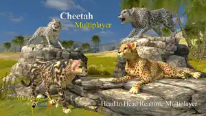 Cheetah Multiplayer screenshot 1