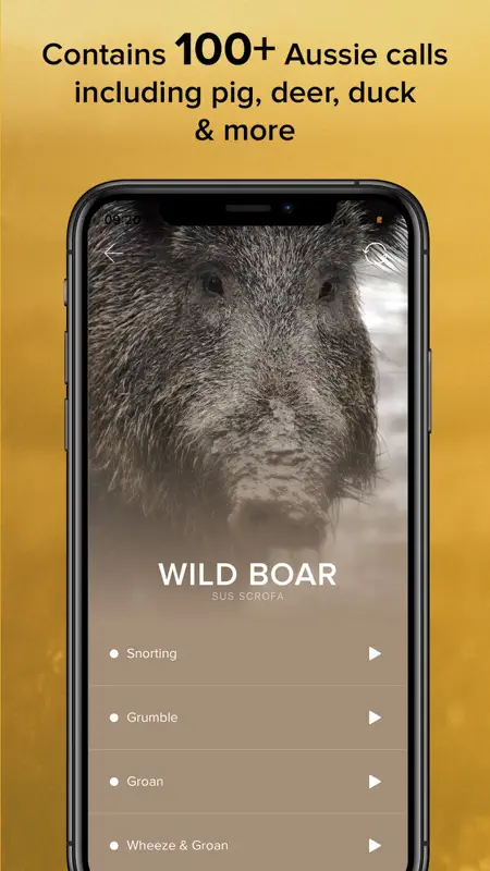 Game Calls Australia screenshot 3 of 7
