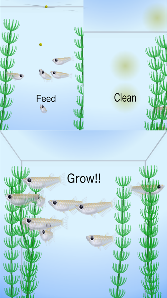 #3. Rice Fish (iOS) 由: KENSHI DOI