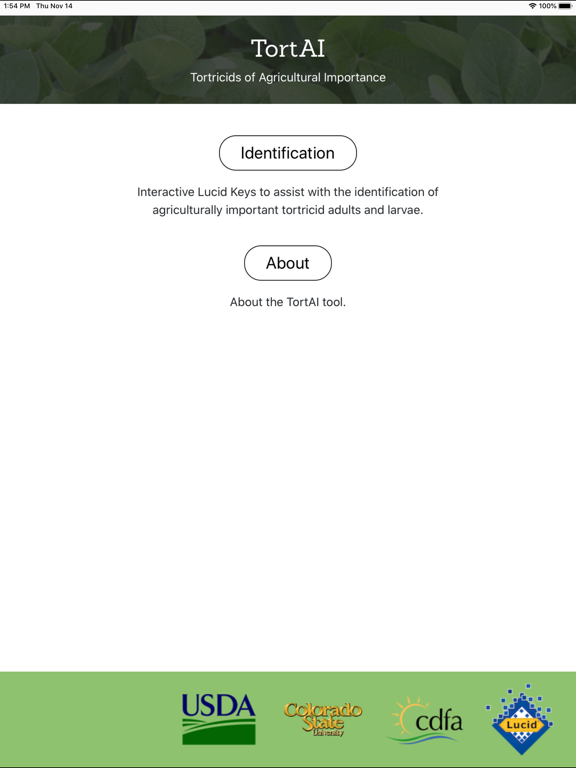 Screenshot #5 pour TortAI Key