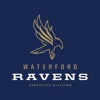 Waterford Ravens SuperFan