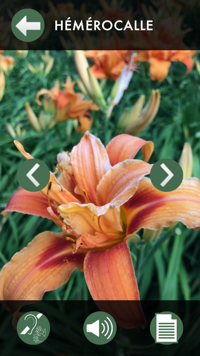 Screenshot #1 pour Jardin botanique de Vauville