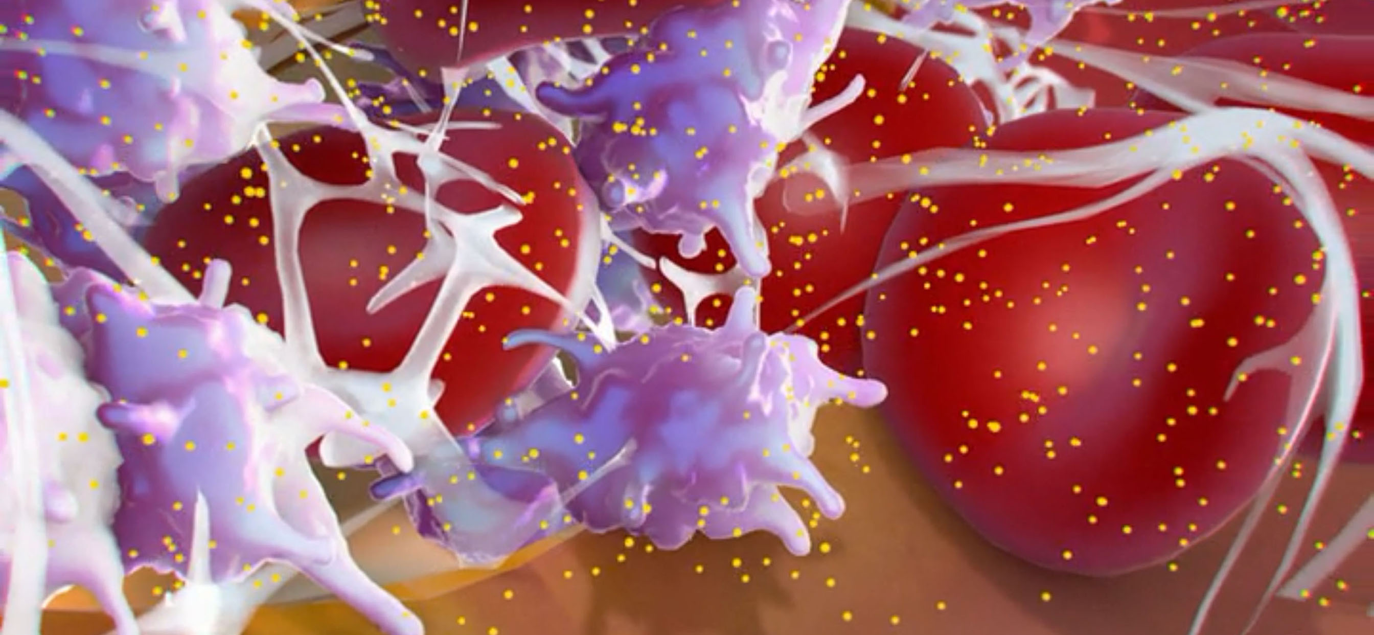 Medmovie AR1