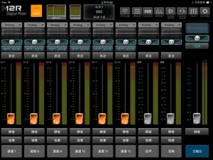 M12R Digital Mixer screenshot 2