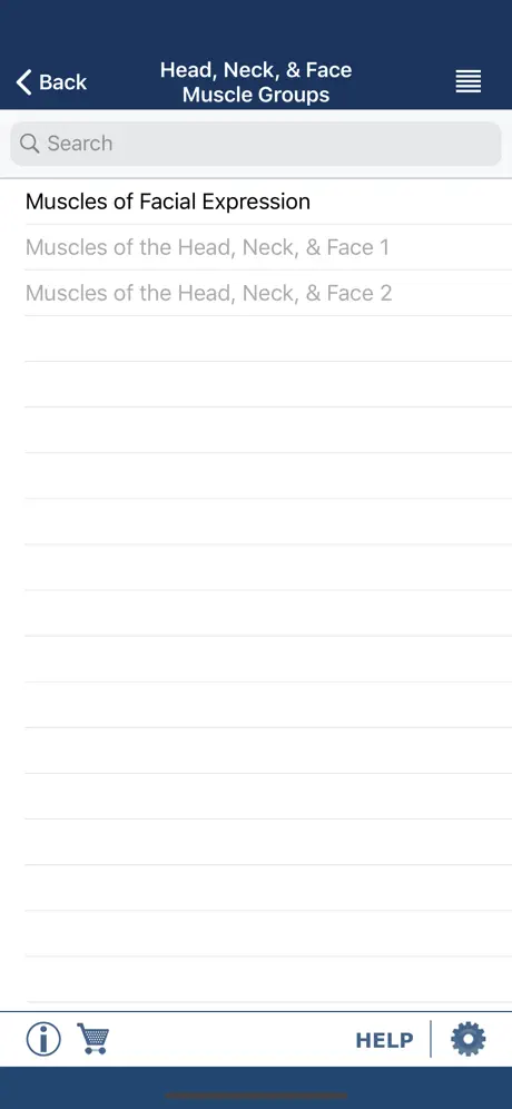 AnatomyMapp Lite
