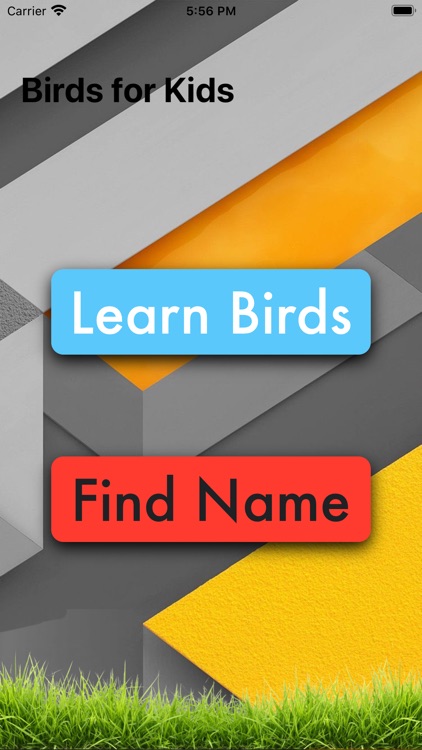 Learn Birds in English