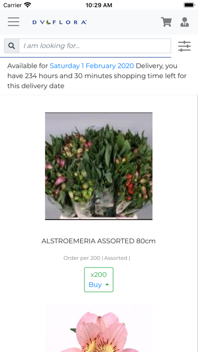DV Flora Dutch Direct Shop Screenshot