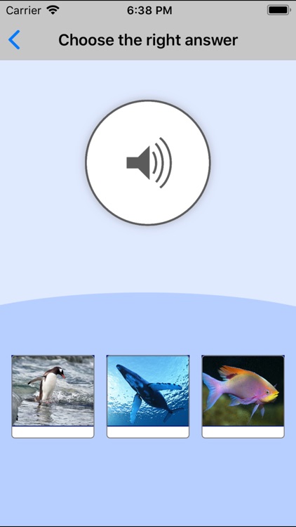 Sea Animals. Learning Cards screenshot-3