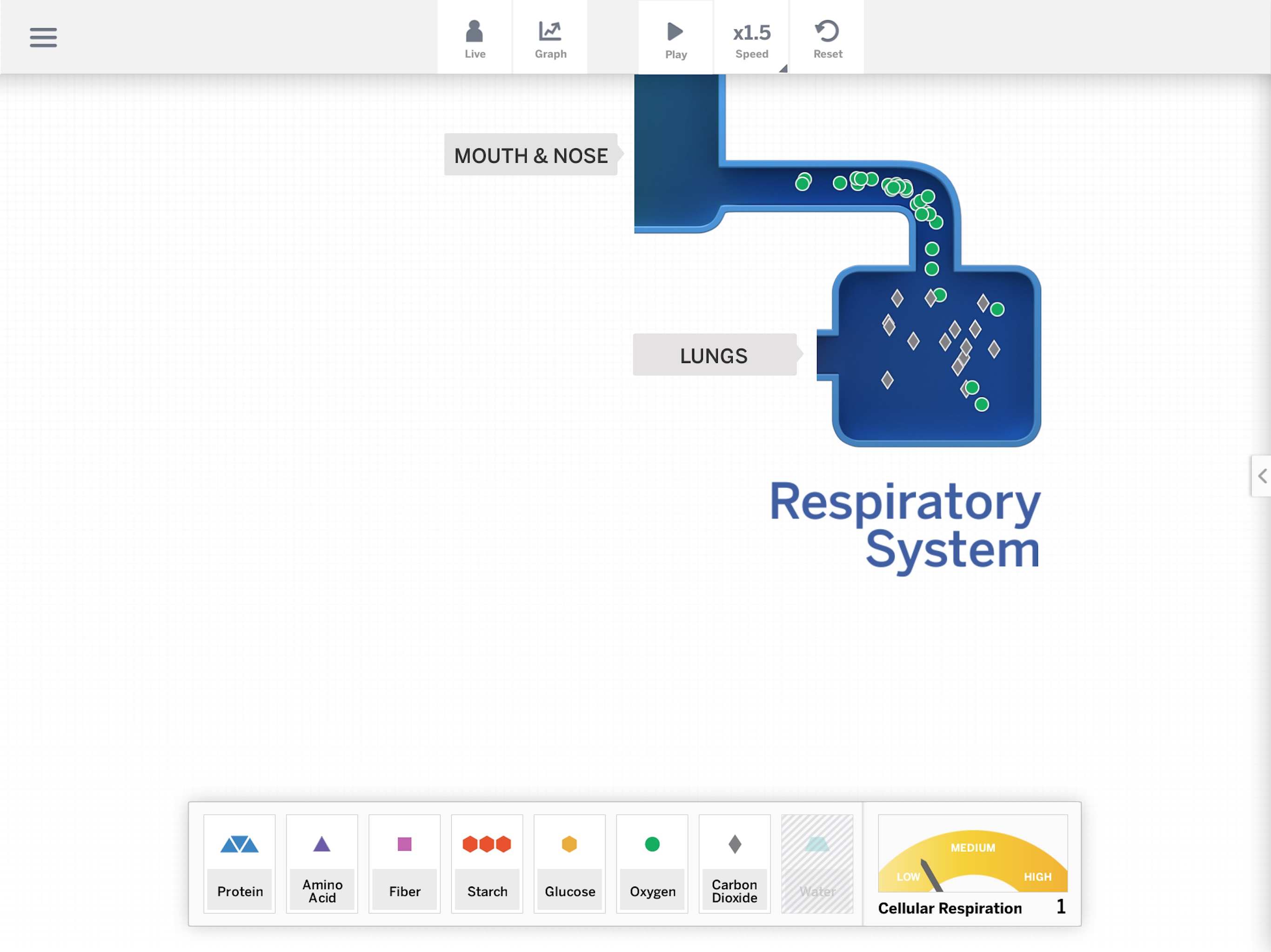 Metabolism Sim screenshot 4