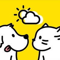  Météo - Chats et Chiens Application Similaire