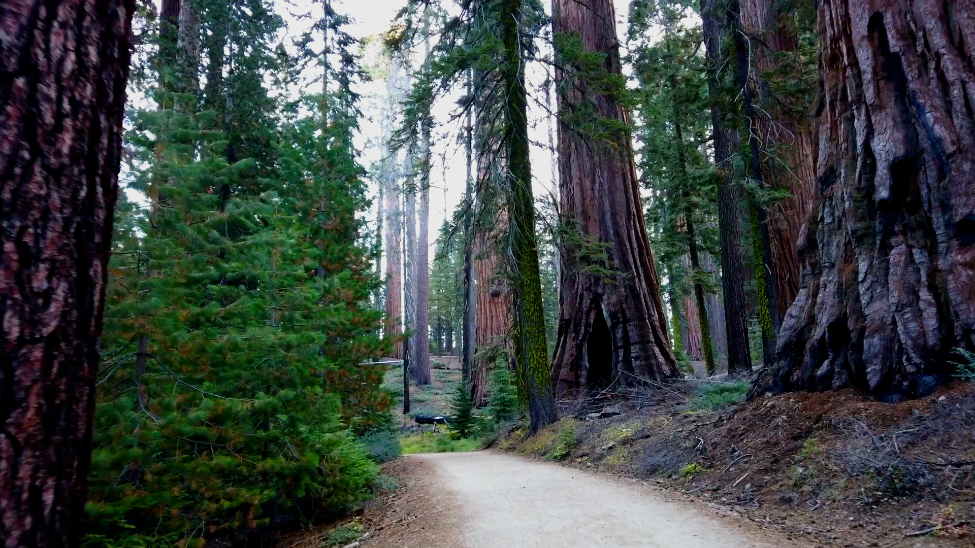 Happy Trails screenshot 8
