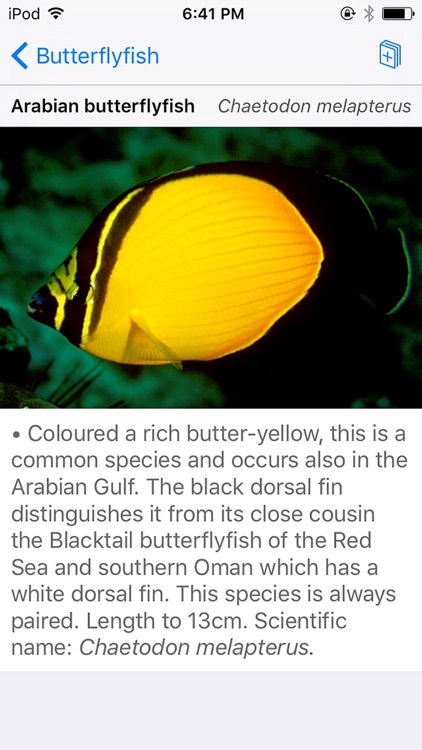 Oman Fish ID screenshot-3