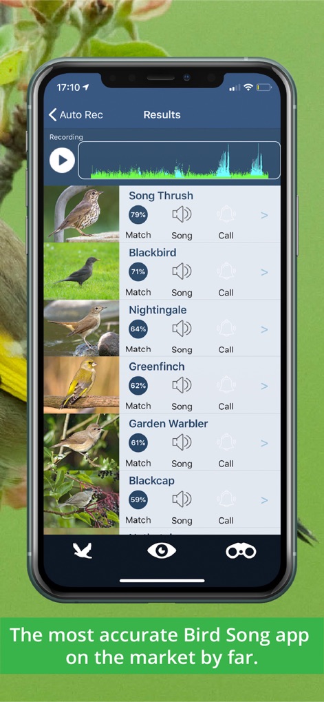 Bird Song Id UK - bird-song-id-uk-identification-results