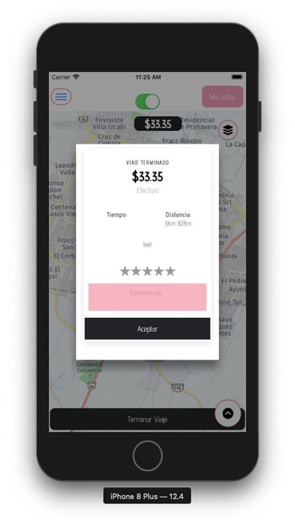 TaxiCDMX Chofer screenshot-9