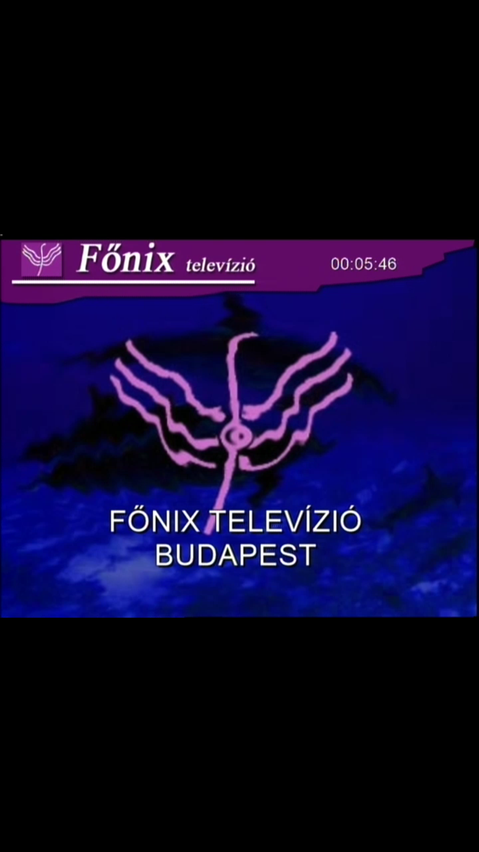 Főnix TV