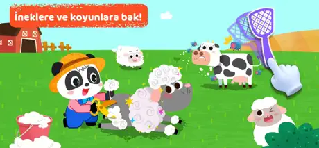 Okul Öncesi Bilim Çalışmaları