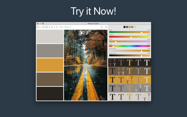 ‎Color Palette from Image Screenshot