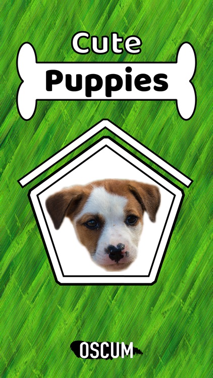 Cute Puppy - Stickers