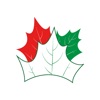 RCure icon