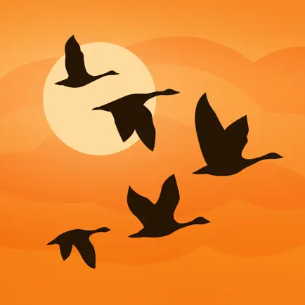 Birds Near Me Cheats