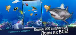 Game screenshot Fishing Rivals : Hook & Catch hack