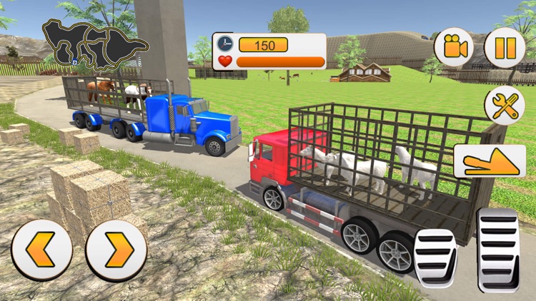 Zoo Animals Transporter Sim
