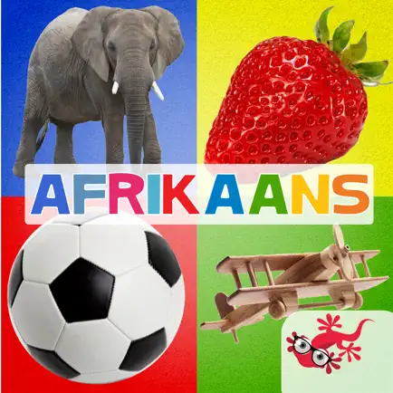 500+ Afrikaans flitskaarte Cheats