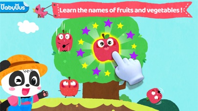 Baby Panda Fruit Farm Screenshot