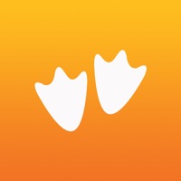 GooseChase messages.notwork