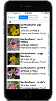 yosemite wildflowers iphone screenshot 3