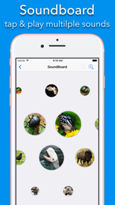150+ Sounds of Animals screenshot