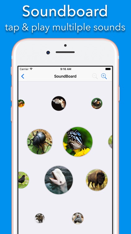 150+ Sounds of Animals