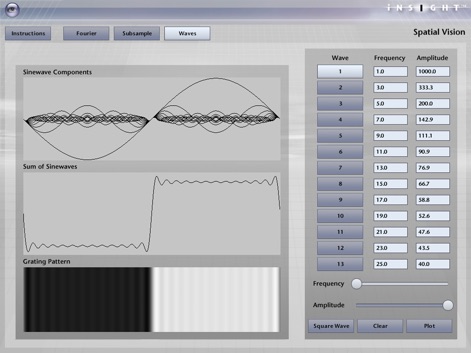 iNSIGHT Spatial Vision - Education App | MWM