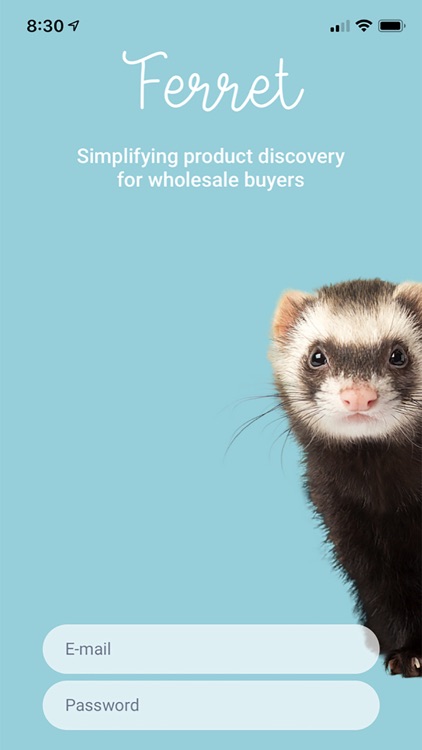 Find with Ferret