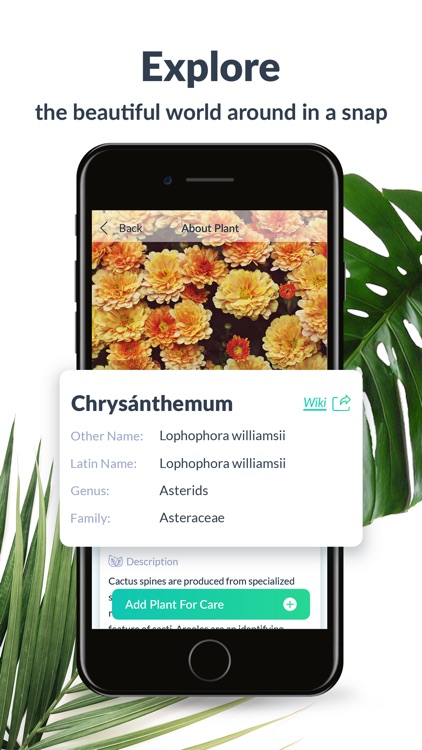 PlantSpot - Plant Identifier