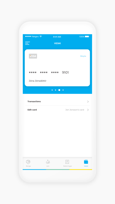 Netgíró Screenshot