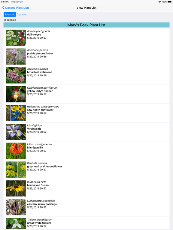 Iowa Wildflowers iPad screenshot