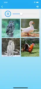 Animal Sounds for Kids Lite! screenshot #8 for iPhone