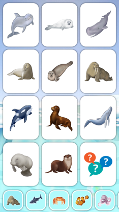 Marine Creatures Cards of Sea screenshot 1